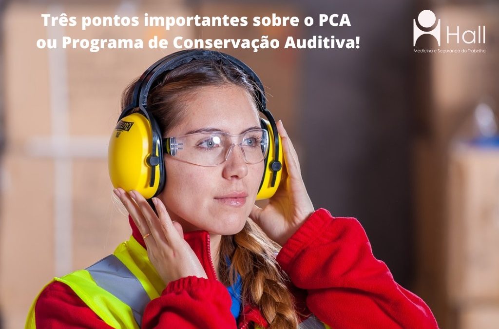 pontos importantes sobre o PCA ou Programa de Conservação Auditiva